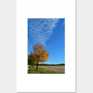 Autumnal Tree Posters and Art